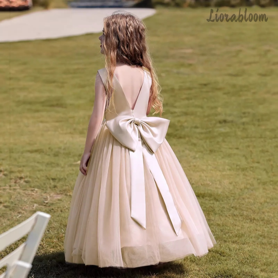 Multicolor Backless Princess D – Women Formal Wear Dress Bewertung und Preis